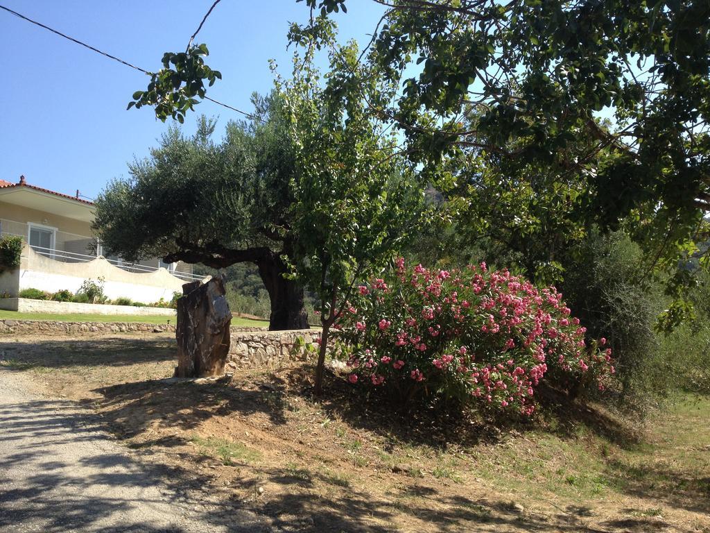 ואתי Nefeli Studios מראה חיצוני תמונה